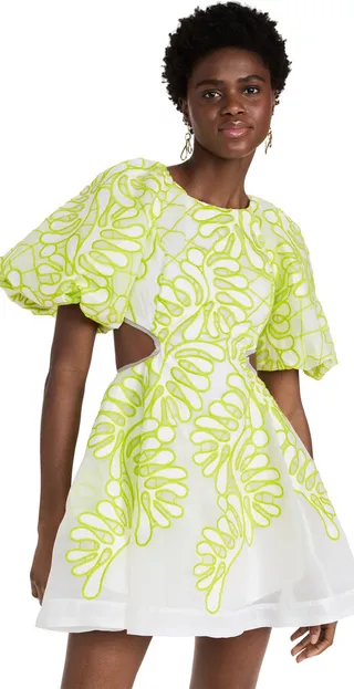 Aje Botanical Applique Mini Dress