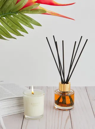 Bergamot, Tonka & Oud Candle & Diffuser Set