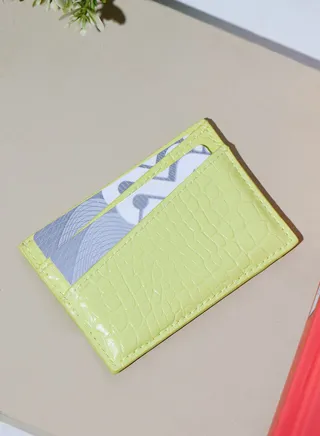 Plain Card Case