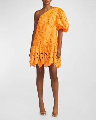 One-Shoulder Floral Embroidered Mini Dress