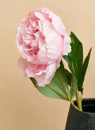 Fiori Faux Peony Single Stem