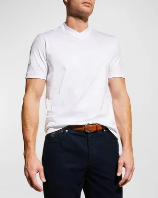 Men's Basic-Fit V-Neck T-Shirt