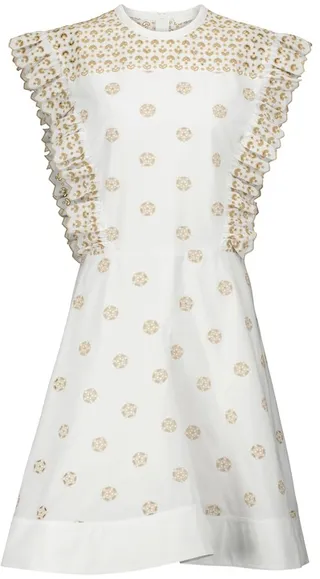 Embroidered cotton minidress