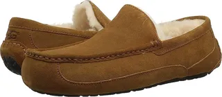 UGG Wide Ascot (Chestnut) Men's Shoes