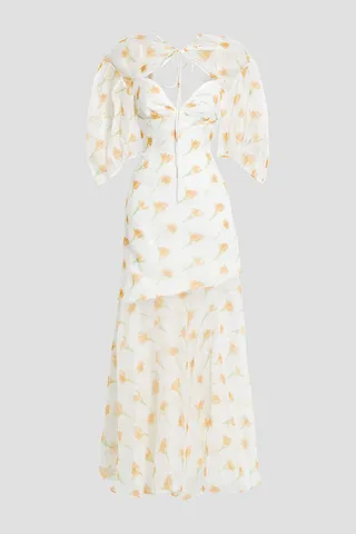 Sliced and Diced Bohemian floral-print cotton-organza maxi dress