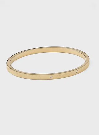 Stainless Steel Elastic Strap