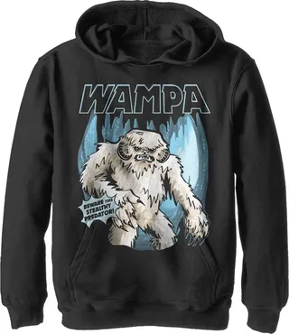 Boy's Star Wars Wampa Beware This Stealthy Predator Pull Over Hoodie - Black - Small