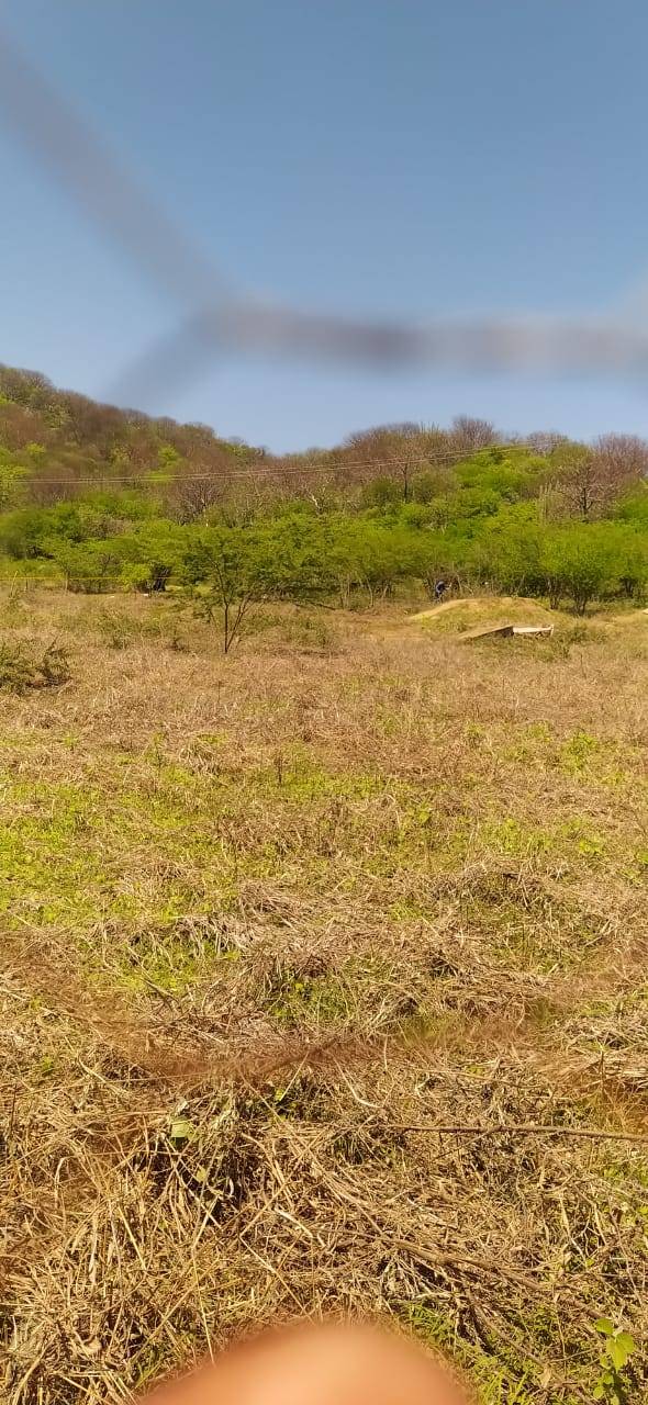 LOTE CAMPESTRE EN SANTA MARTA - POZOS COLORADOS - Foto 4