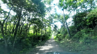 LOTE - CURITÍ SANTANDER - ASC - Foto 2