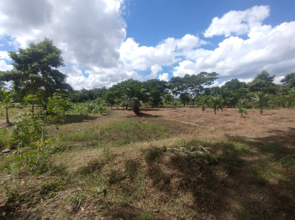 FINCA EN SAN ANTERO - CORREGIMIENTO DE NUEVO AGRADO - Foto 3