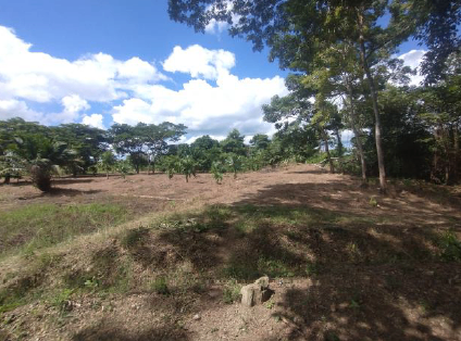 FINCA EN SAN ANTERO - CORREGIMIENTO DE NUEVO AGRADO - Foto 1