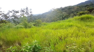 LOTE - CURITÍ SANTANDER - ASC - Foto 3