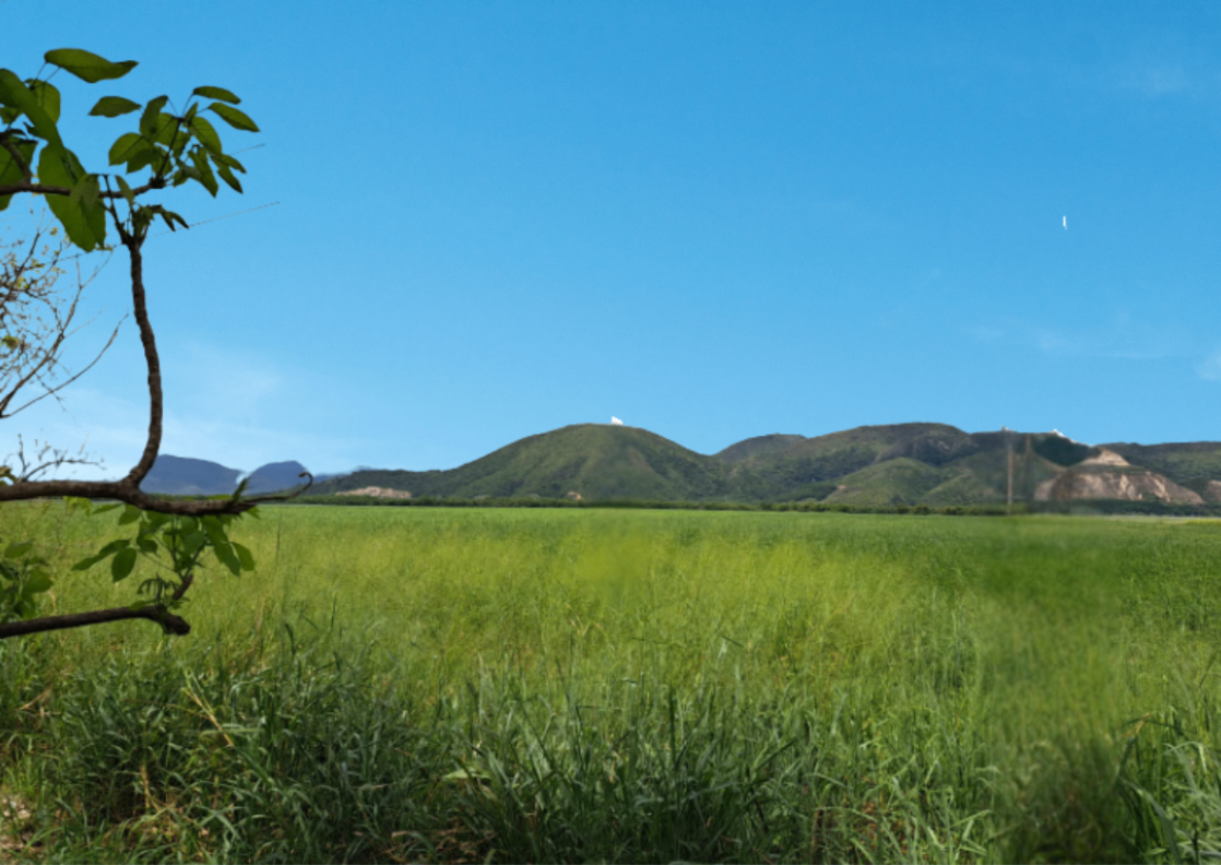 FINCA EN FLANDES - VEREDA CAMALA - Foto 1
