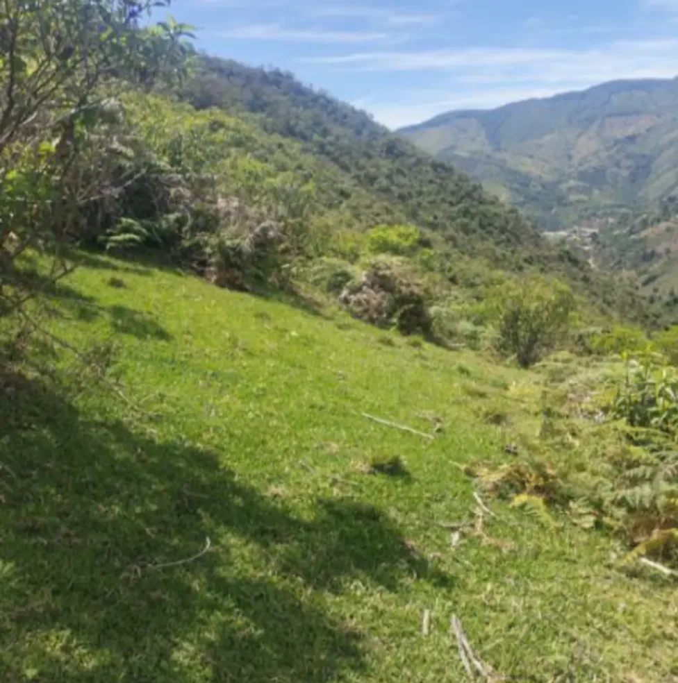 FINCA EN SANTA FE DE ANTIOQUIA - EL FILO - Foto 1