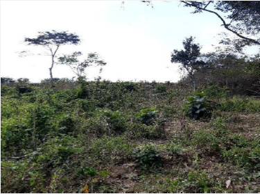 LOTE  EN TURBANA - VEREDA EL CHORRO - Foto 3