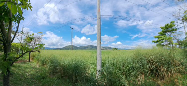 FINCA EN FLANDES - VEREDA CAMALA - Foto 4