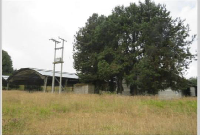 BODEGA EN BOJACÁ - LOS LAGUITOS - Foto 2