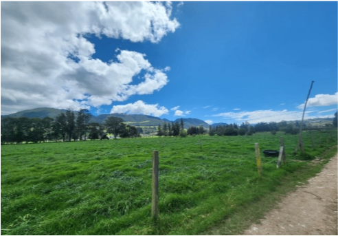 LOTE EN LA CALERA - VEREDA SAN CAYETANO - Foto 1