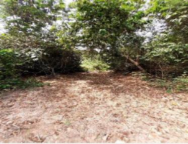 LOTE  EN TURBANA - VEREDA EL CHORRO - Foto 4