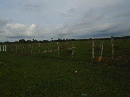 LOTE CARTAGENA - CASERÍO MANZANILLO DEL MAR - Foto 1