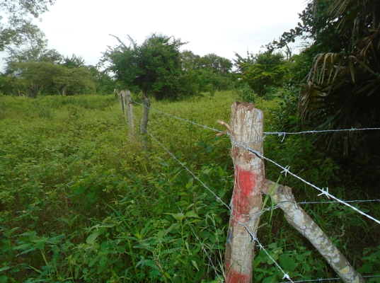 LOTE CARTAGENA - CASERÍO MANZANILLO DEL MAR - Foto 2
