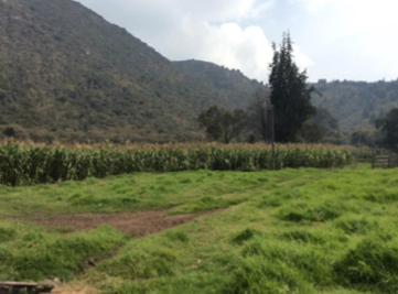 LOTE VEREDA ROZO – MUNICIPIO DE COTA - Foto 8