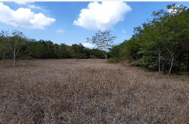 LOTE  EN TURBANA - VEREDA EL CHORRO - Foto 5