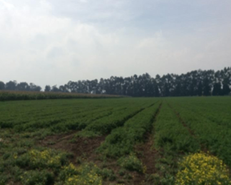 LOTE VEREDA ROZO – MUNICIPIO DE COTA - Foto 7