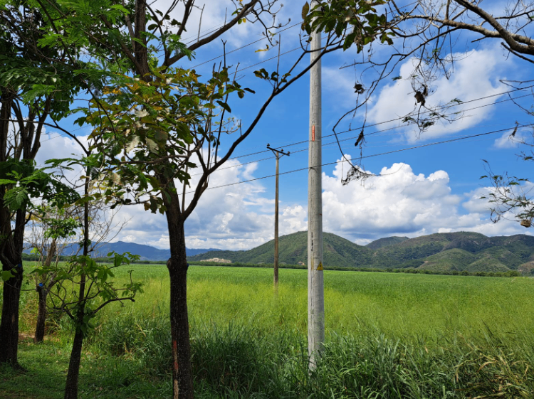 FINCA EN FLANDES - VEREDA CAMALA - Foto 3