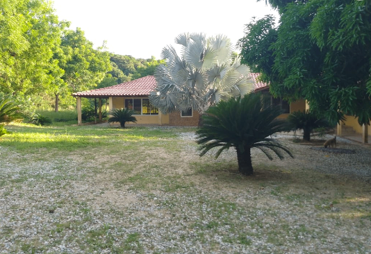 LOTE EN GALAPA - VEREDA LAS PETRONITAS - Foto 1