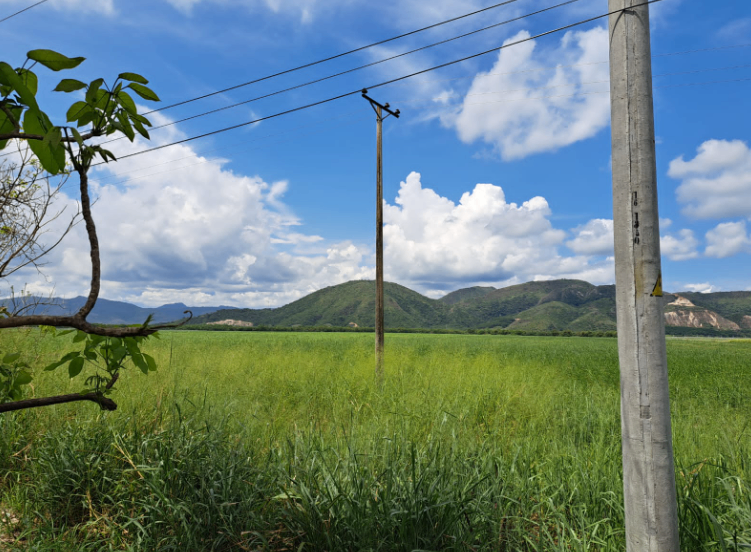FINCA EN FLANDES - VEREDA CAMALA - Foto 2