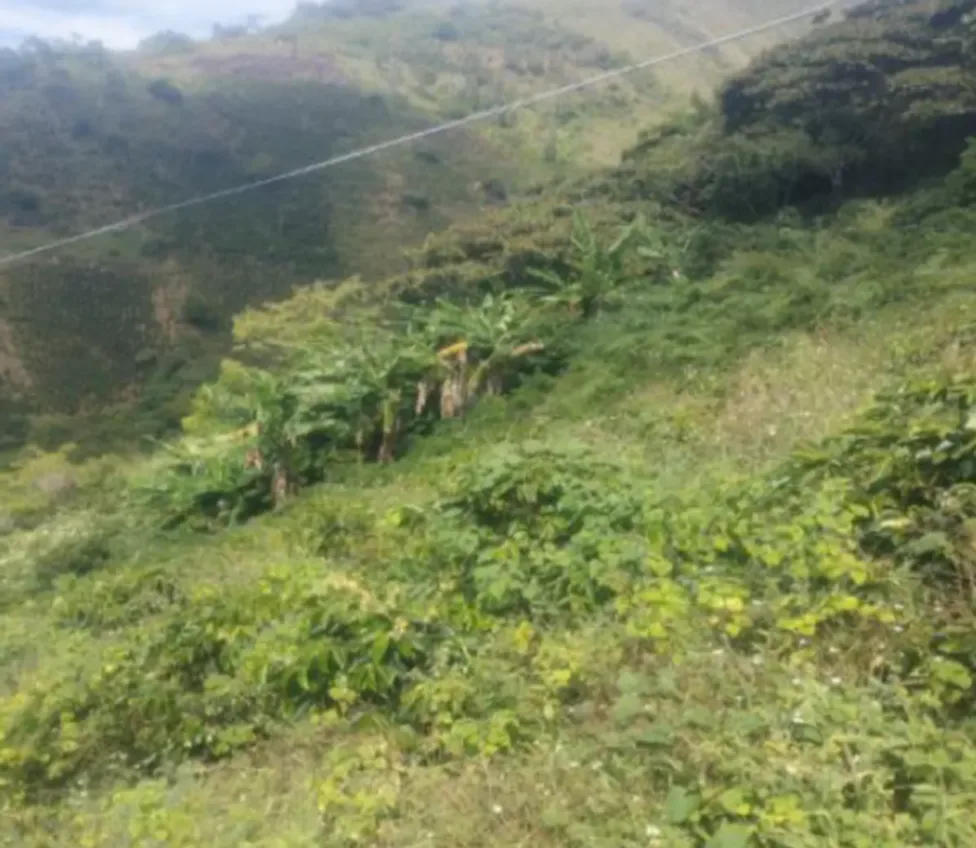 FINCA EN SANTA FE DE ANTIOQUIA - EL FILO - Foto 2