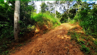 LOTE - CURITÍ SANTANDER - ASC - Foto 1