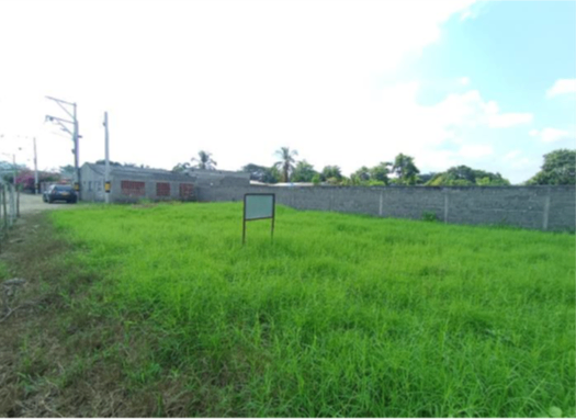LOTE EN MONTERIA - PARAJE EL CEIBAL - Foto 2