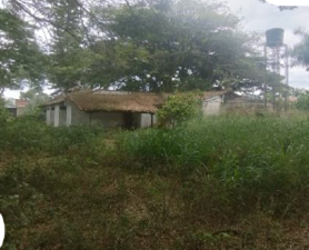 CASA EN PALMIRA - CORREGIMIENTO PALMASECA - EL FUERTE - Foto 4