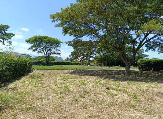 LOTE EN GINEBRA - CONDOMINIO CAMPESTRE SAN FELIPE - Foto 2