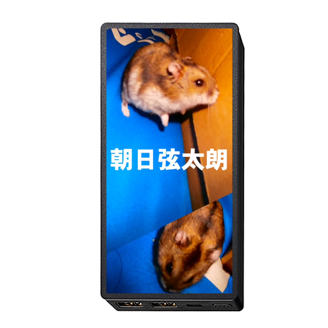 モバイルチャージャー10000mAh （ブラック）