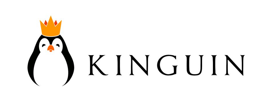 Kinguin ruší svoju Dota 2 divíziu
