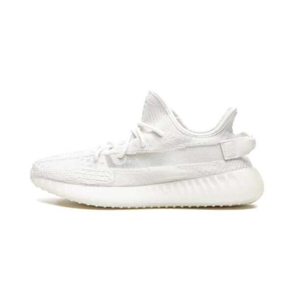 Adidas Yeezy Boost 350 V2bone