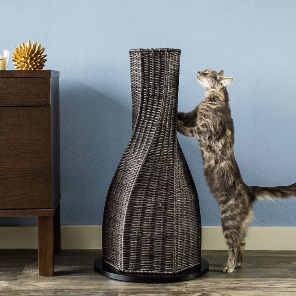 Calypso Everlasting Cat Scratcher