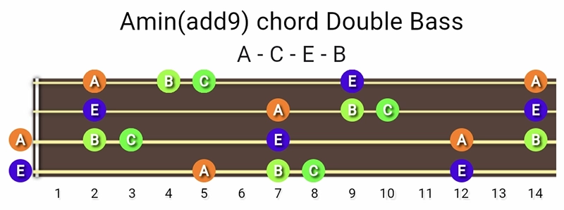 A minor add 9 chord notes on a upright double bass