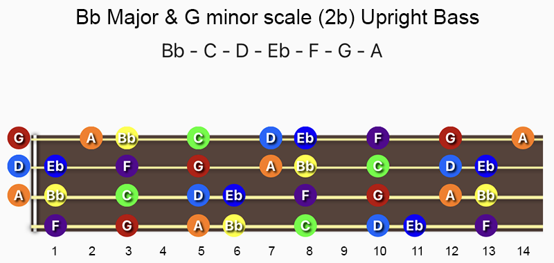 B♭ Major & G minor scale notes on Double Bass