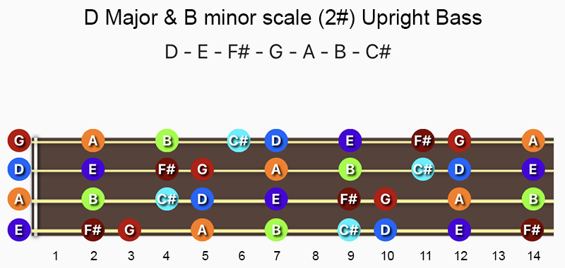 D Major & B minor scale notes on Double Bass