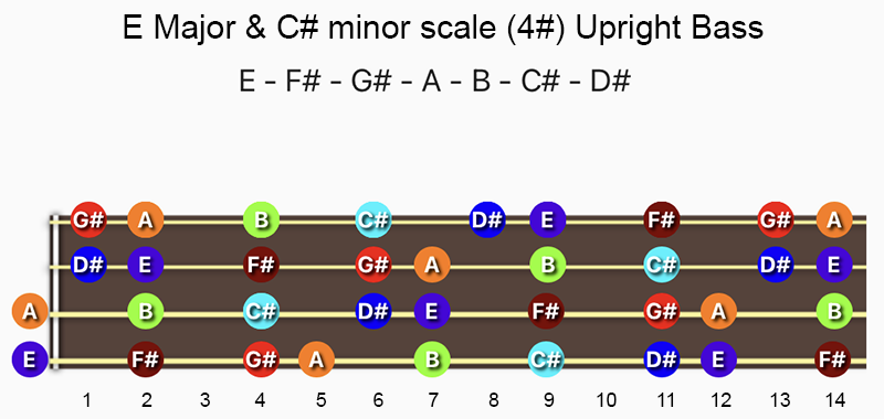 E Major & C♯ minor scale notes on Double Bass