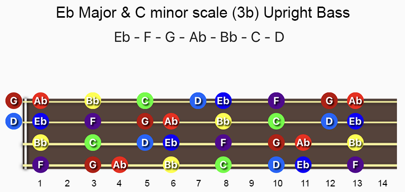 E♭ Major & C minor scale notes on Double Bass