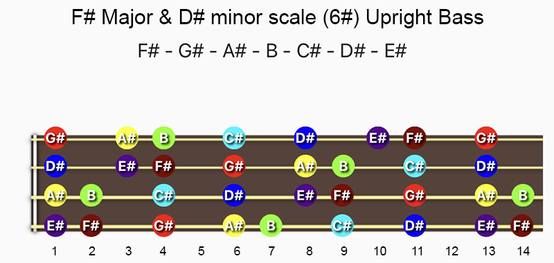 F♯ Major & D♯ minor scale notes on Double Bass