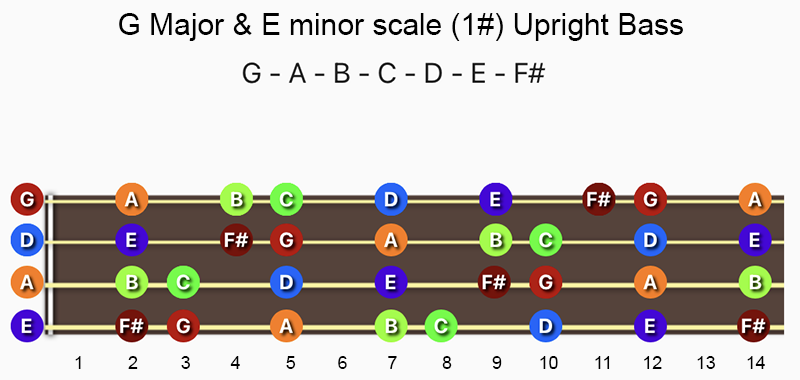 G Major & E minor scale notes on Double Bass