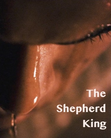 Project The Shepherd King