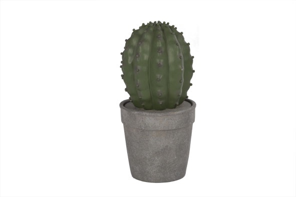 cactus groen in grijze pot d12xh24cm resine