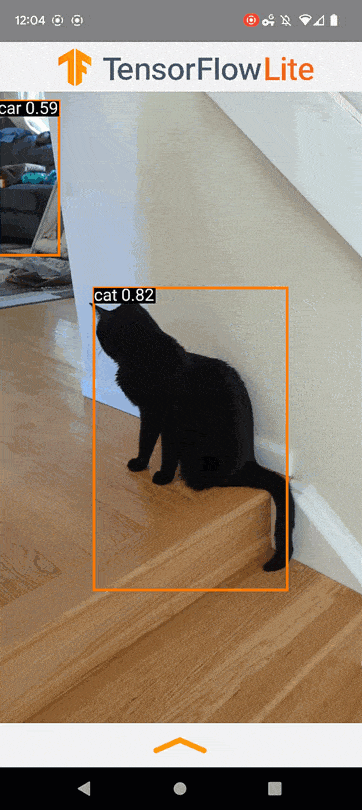 Object detection animated demo